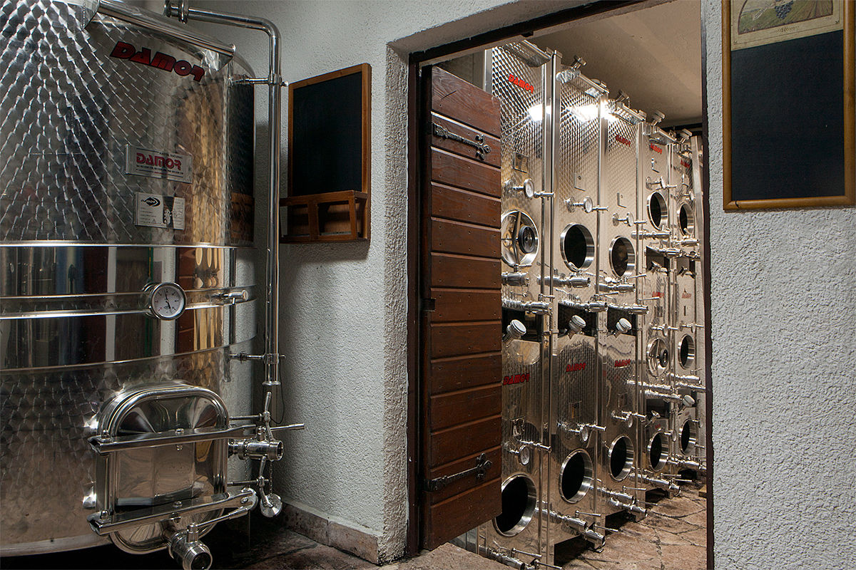 Stainless fermentation and storage in the Castel Savina winery