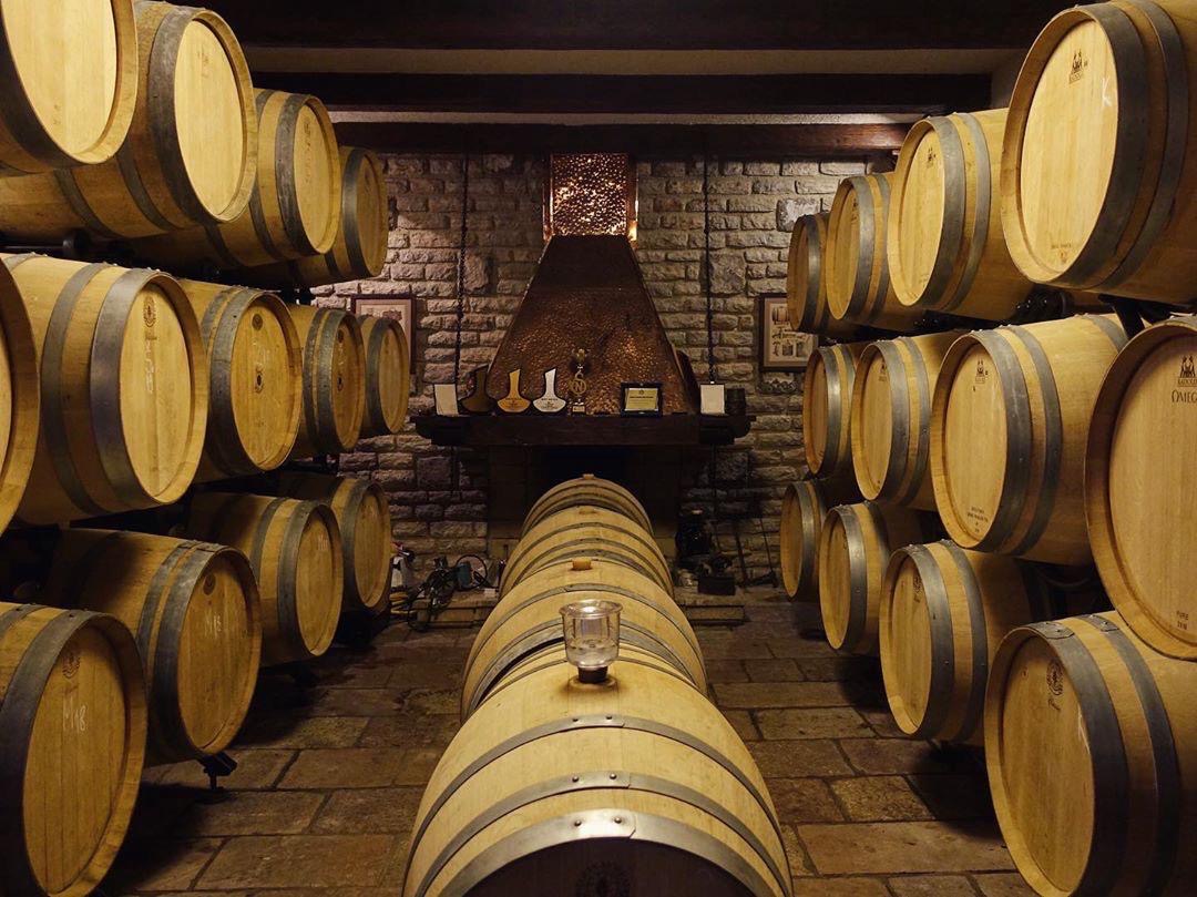 Wine barrels stacked in the Castel Savina cellar