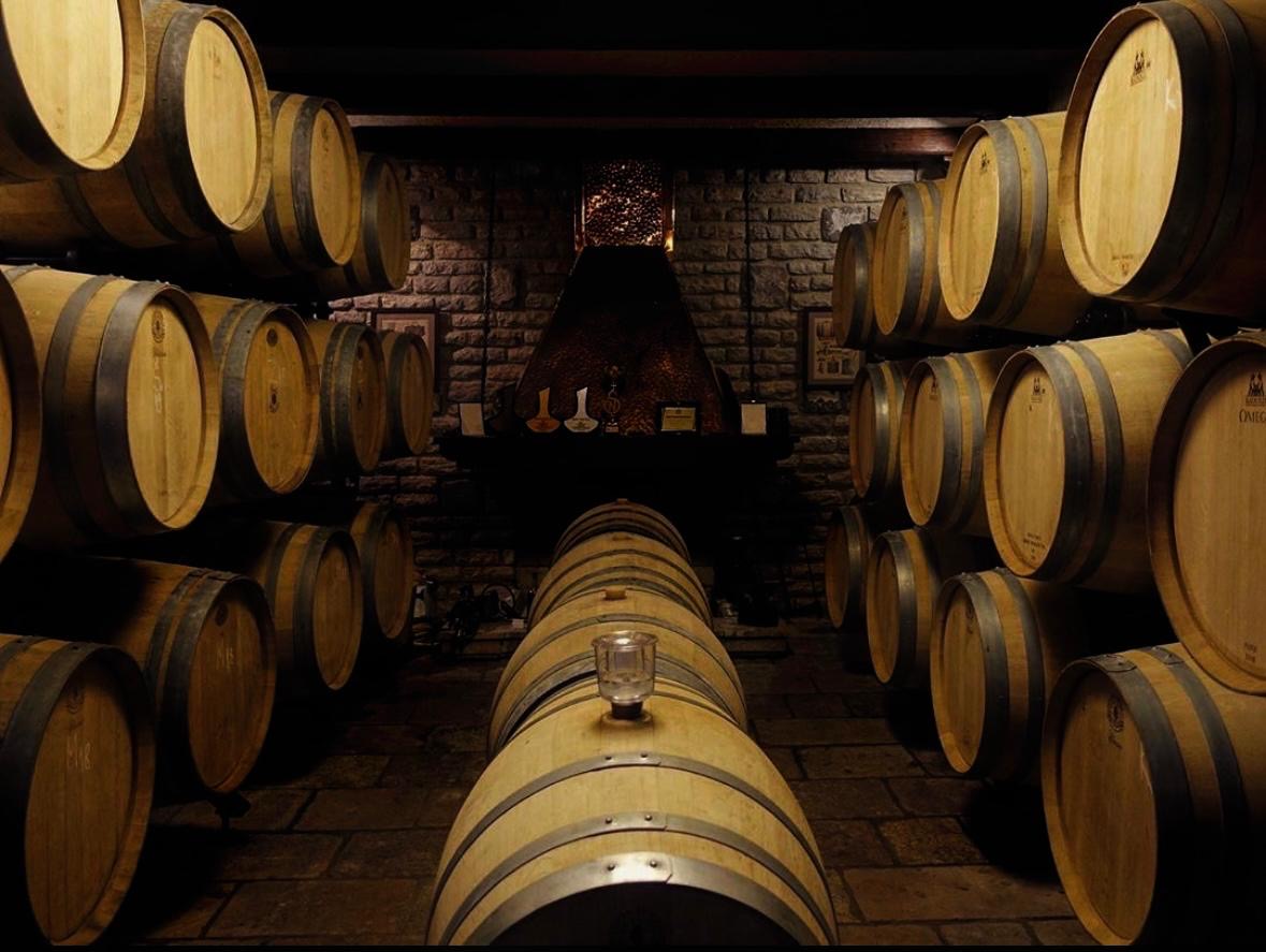 Wine barrels stacked in the Castel Savina cellar